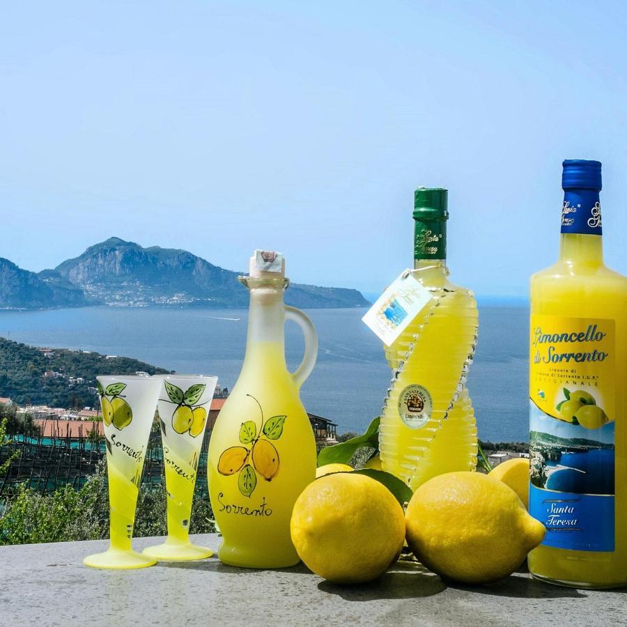 B&B Mamma Sorrento Holidays Екстериор снимка